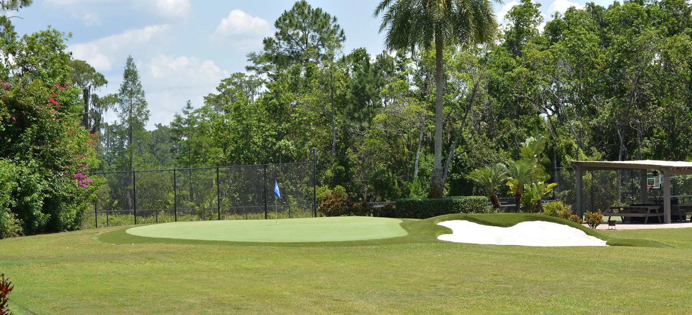 Bring Tour‑Level Play Home: Annika Sörenstam’s Artificial Greens